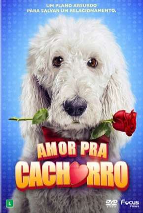 Baixar Amor Pra Cachorro