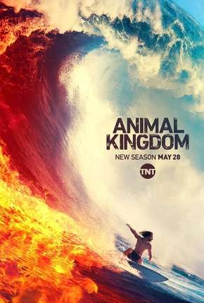 Baixar Animal Kingdom - 4ª Temporada Legendada