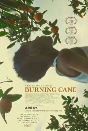 Baixar Burning Cane - Legendado