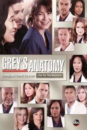 Baixar Greys Anatomy - 10ª Temporada - Completa