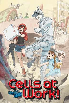 Hataraku Saibou - Cells at Work Torrent