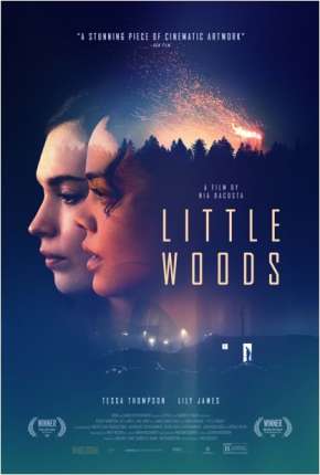 Little Woods - Legendado Torrent