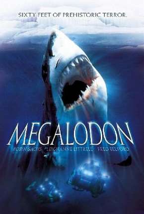 Baixar Megalodon - 18 Metros de Terror