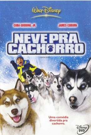 Baixar Neve pra Cachorro