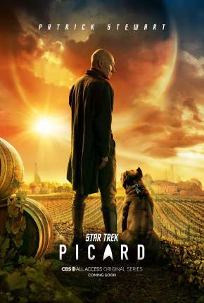 Baixar Star Trek - Picard - Legendada