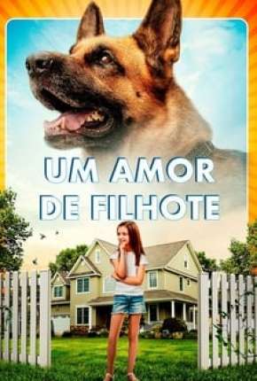 Baixar Um Amor de Filhote