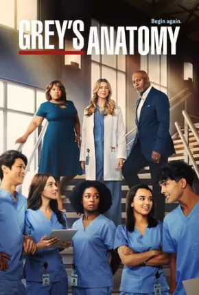 Baixar Greys Anatomy - 19ª Temporada