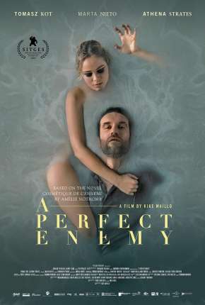 A Perfect Enemy - Legendado Torrent