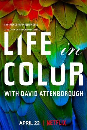 Baixar A Vida em Cores com David Attenborough - 1ª Temporada Completa