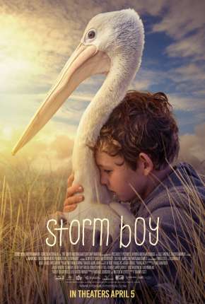 Baixar Amigos Para Sempre - Storm Boy