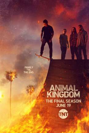 Animal Kingdom - 5ª Temporada Legendada Torrent