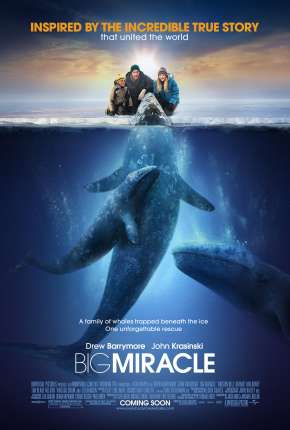 Baixar O Grande Milagre - Big Miracle