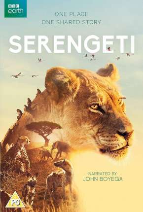 Baixar Serengeti - 2ª Temporada Completa Legendada