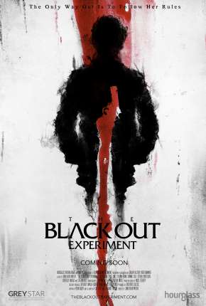 Baixar The Blackout Experiment - Legendado