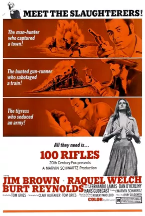 100 Rifles 