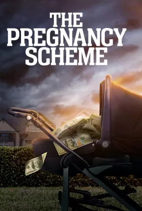 The Pregnancy Scheme - Legendado Torrent