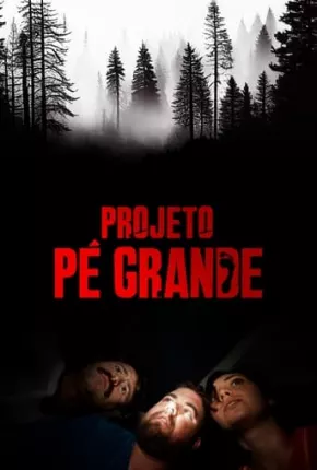 Baixar Projeto Pé Grande