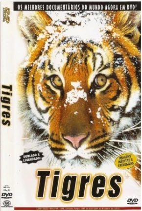 Baixar Tigres / Na Sombra do Tigre