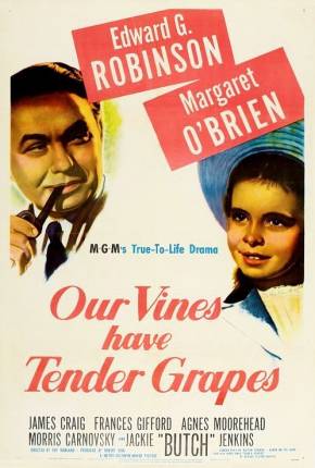 O Roseiral da Vida / Our Vines Have Tender Grapes 