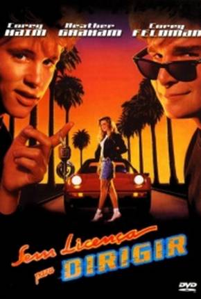 Sem Licença para Dirigir / License to Drive 