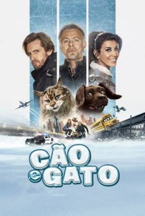 Baixar Cão e Gato