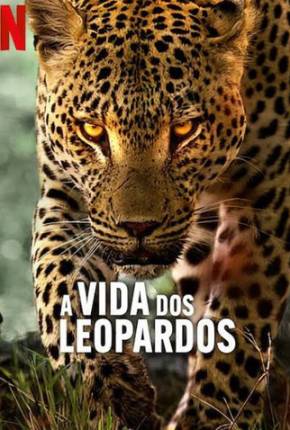 Baixar A Vida dos Leopardos