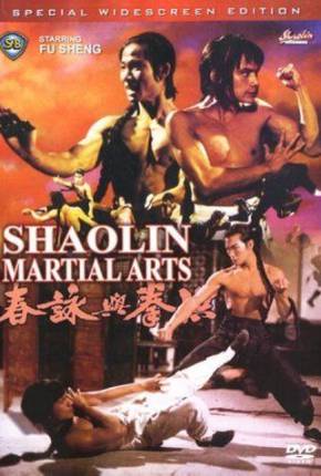 Baixar As Artes Marciais de Shaolin / Hong quan yu yong chun